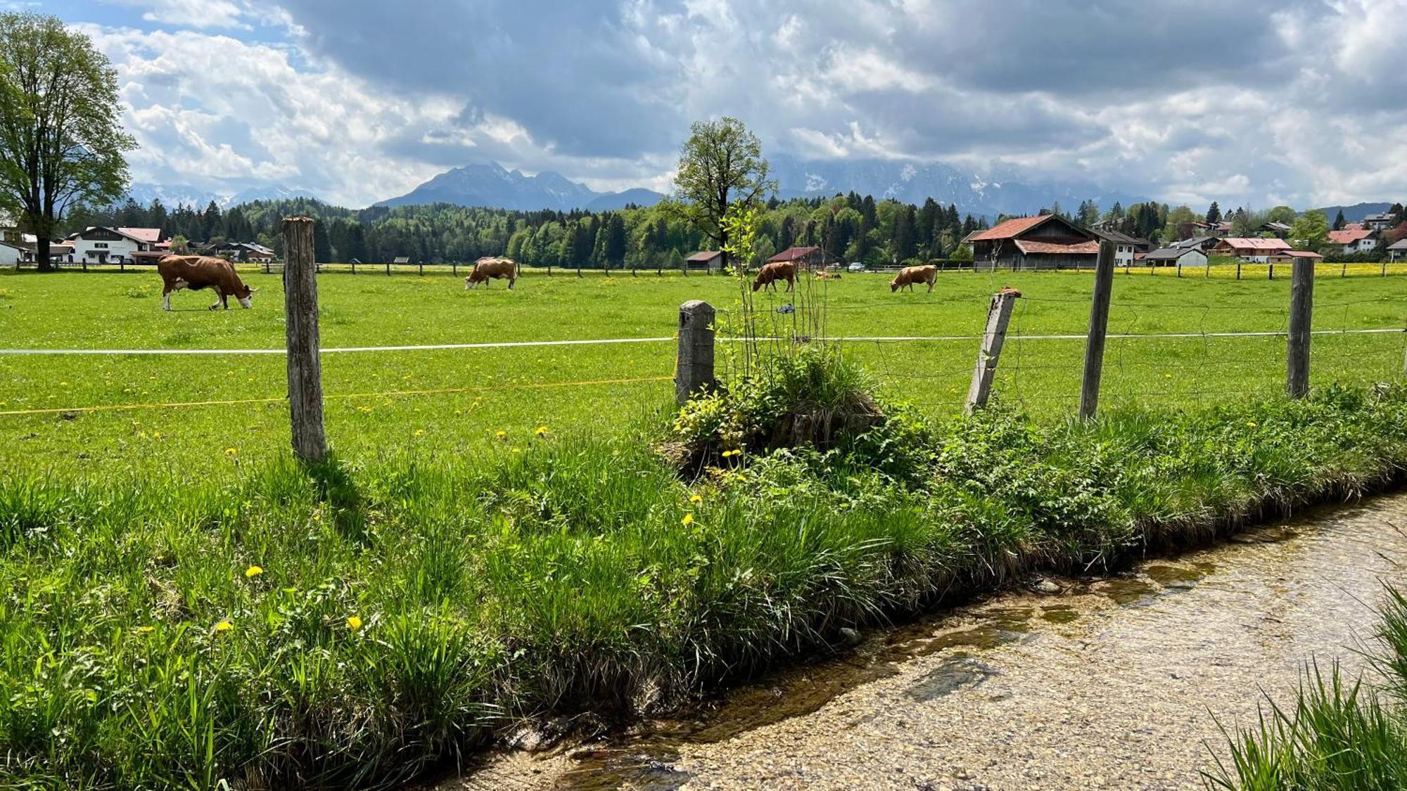 Post-Hotel Mittenwald Dış mekan fotoğraf